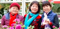 退休后，你选择独居、和子女住、进养老机构还是旅居养老？