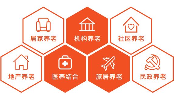 智慧养老平台选型(图1)