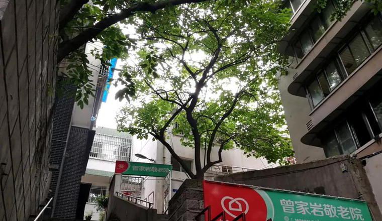 最聪明的养老方式