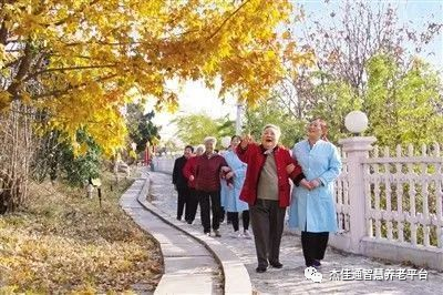 探索新时代的老年文化需求(图3)